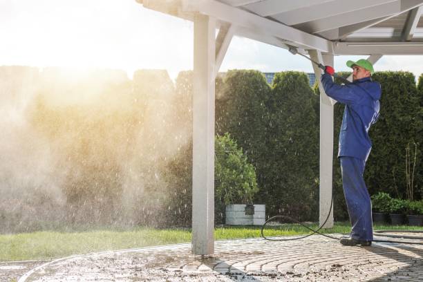 Best Solar Panel Cleaning  in Manatee Road, FL